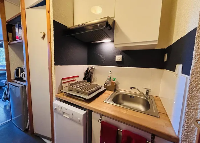 Confortable Pour 2 Pers. A 150m Des Pistes - Fr-1-353-156 La Plagne-Tarentaise