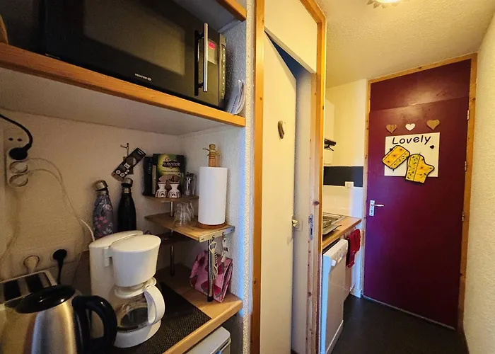 Confortable Pour 2 Pers. A 150m Des Pistes - Fr-1-353-156 La Plagne-Tarentaise