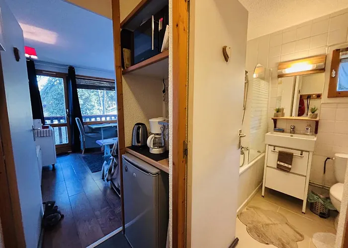 Confortable Pour 2 Pers. A 150m Des Pistes - Fr-1-353-156 Apartment La Plagne-Tarentaise